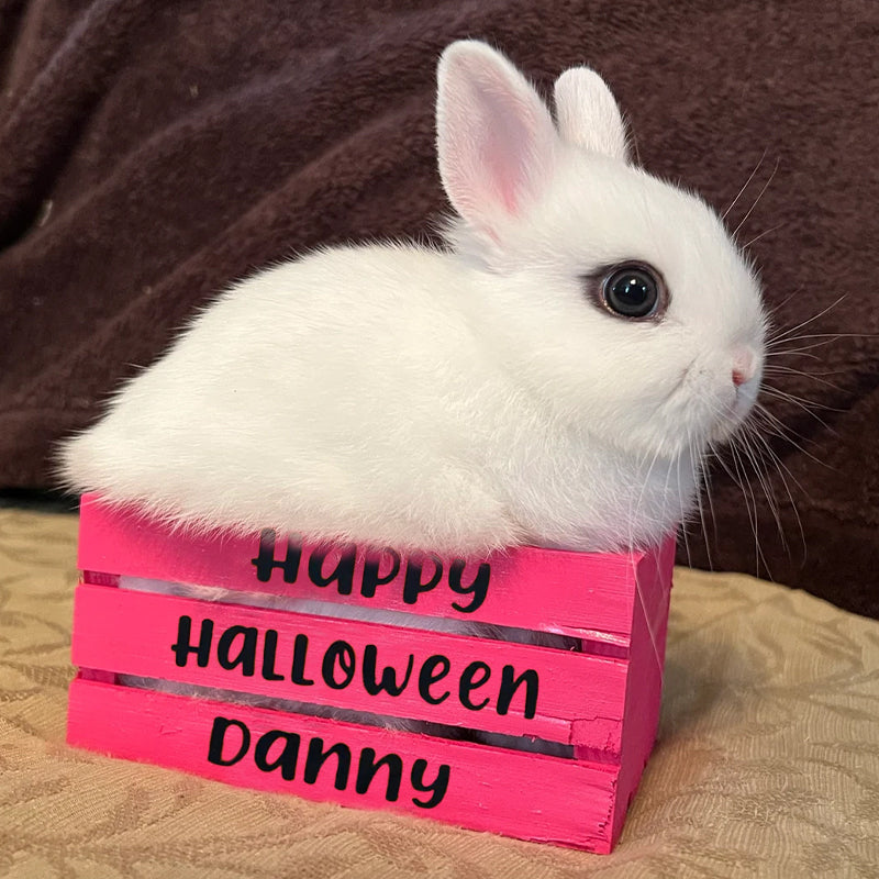 Wooden Box For Halloween Candy For The Children