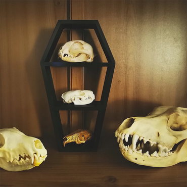 Wooden Coffin Decorated With Gothic Halloween Style