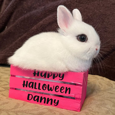 Wooden Box For Halloween Candy For The Children